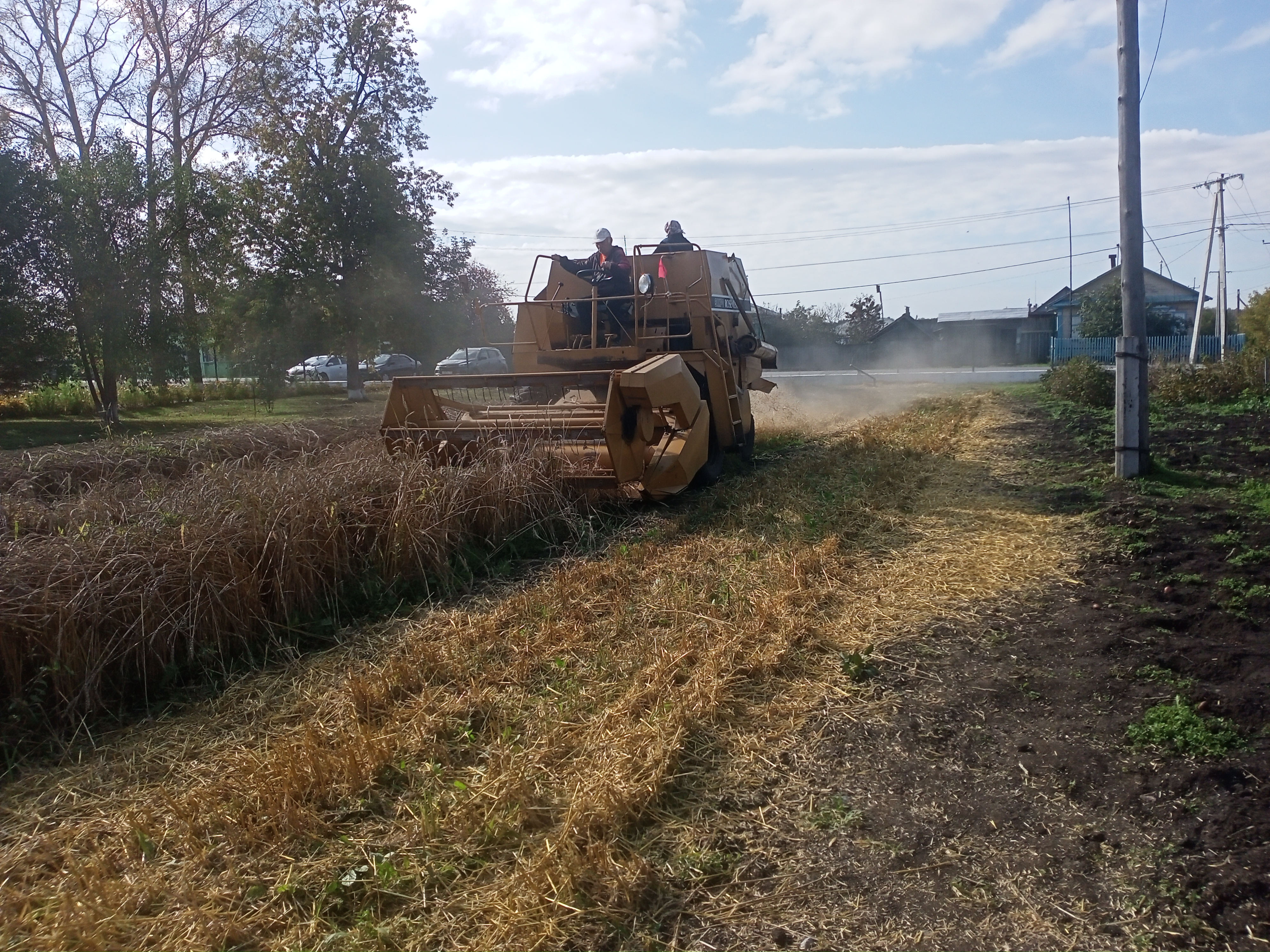 Уборка урожая.