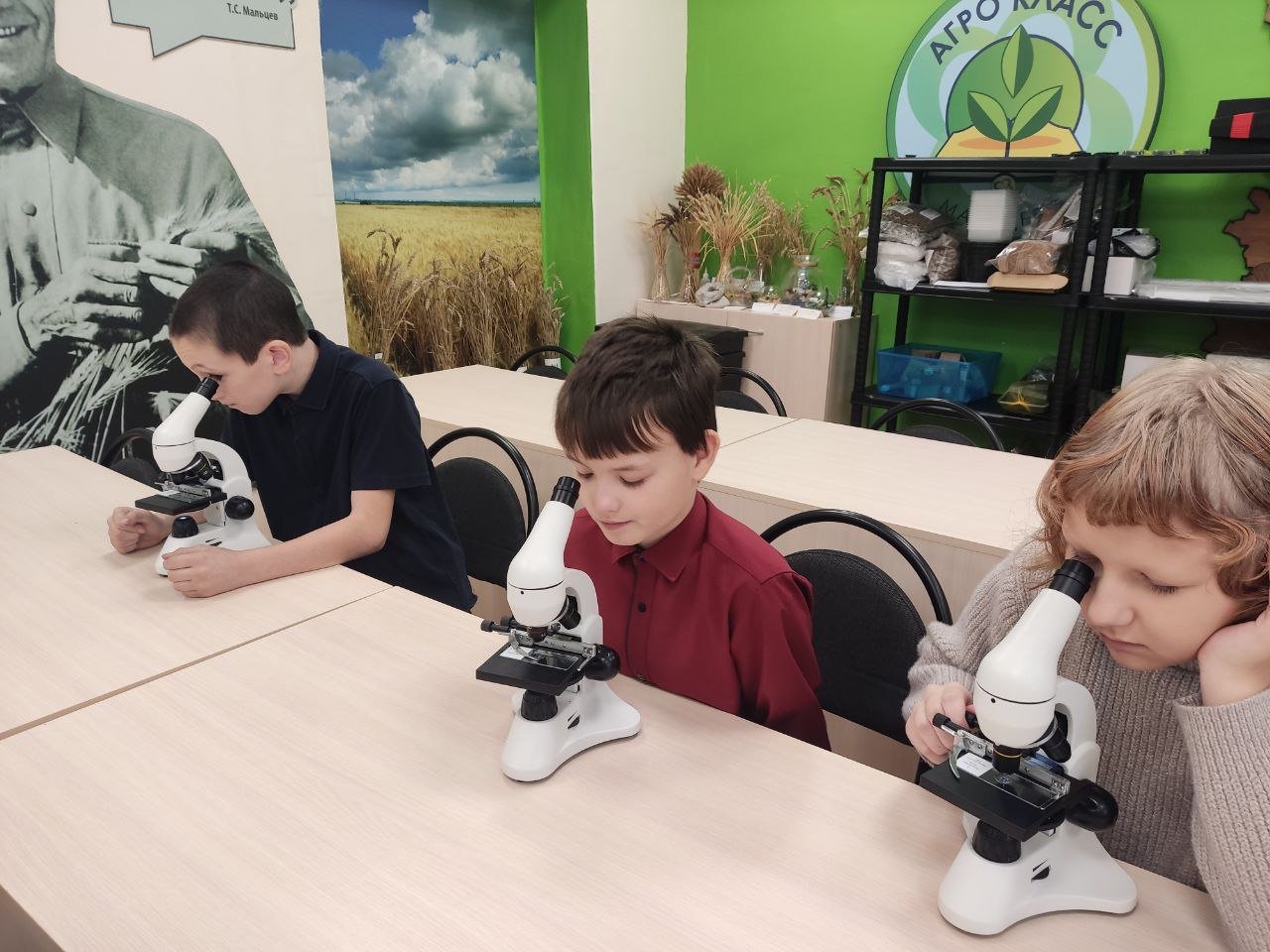 Точка роста.