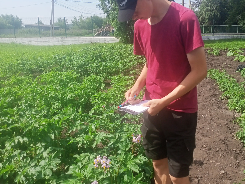 Работа в агроклассе.