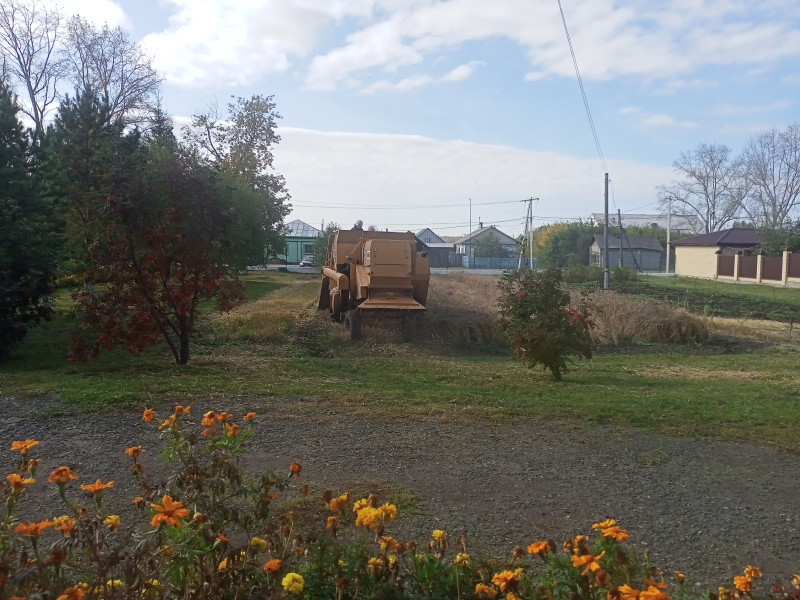 Уборка урожая.